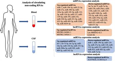 Circulating MicroRNAs and Long Non-coding RNAs as Potential Diagnostic Biomarkers for Parkinson’s Disease